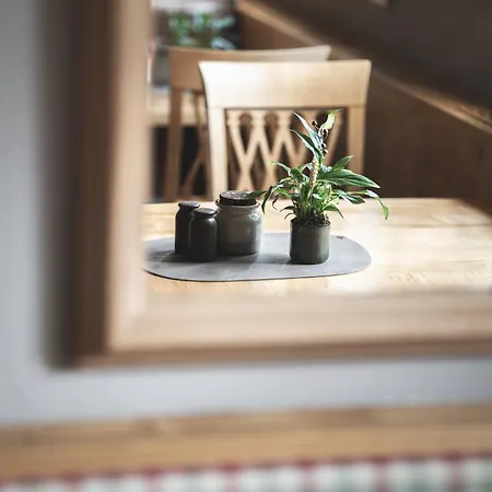 Hotel Arbor &