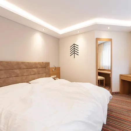 Arbor & ザールバッハ・ヒンターグレム